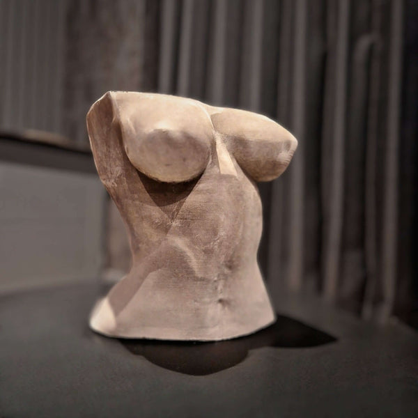 Cement Planter vs Concrete Planter: What Is Actually the Difference?