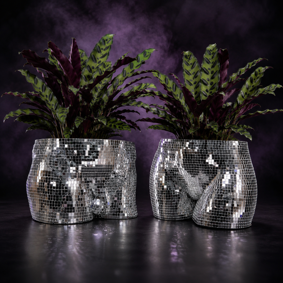 Silver disco ball body planters with leafy plants on purple smoke background