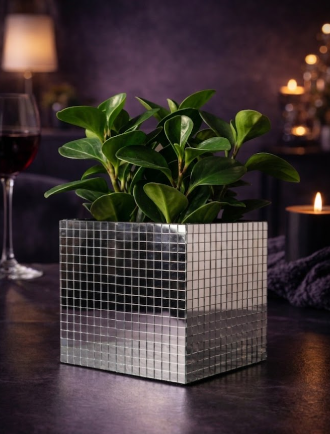 Mirror tile cube planter with peperomia plant, wine glass and candle