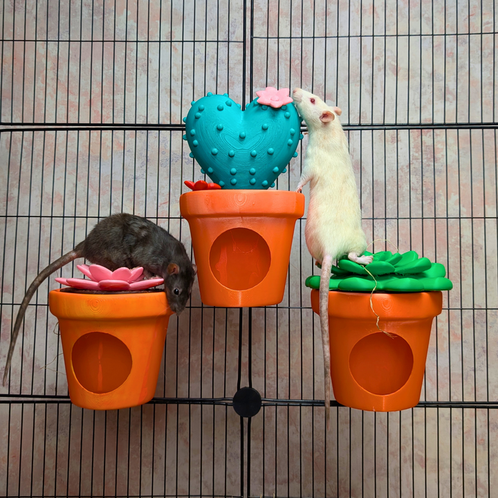 Cactus Rat Hide - handmade cage accessory | Ripleys Nest