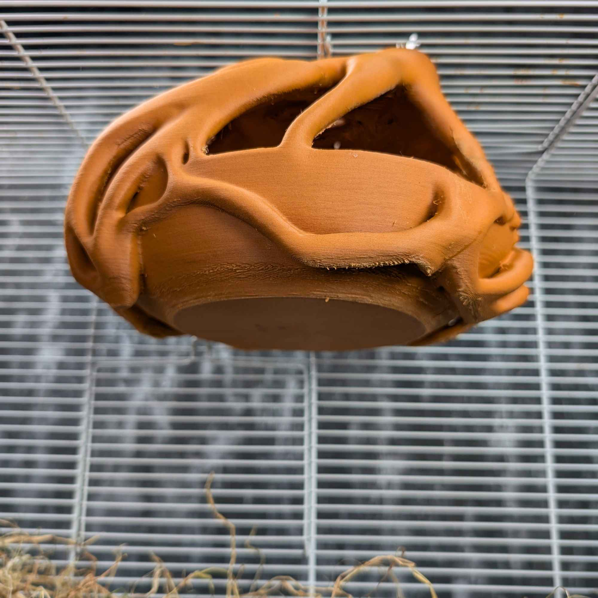 Natural Root Burrow Rat Hideaway front view showing entrance