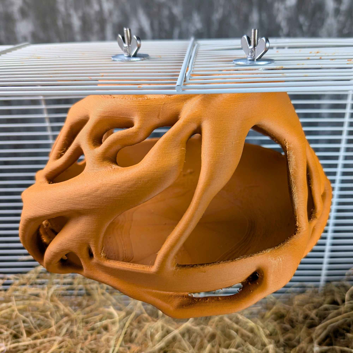 Natural Root Burrow Rat Hideaway lifestyle context shot