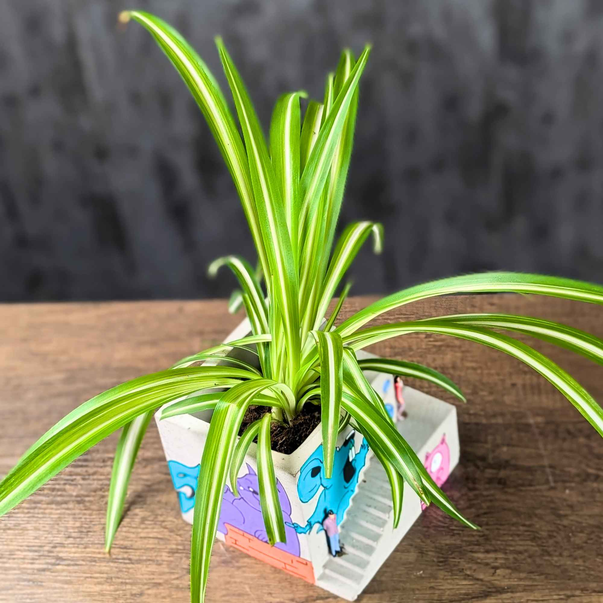 Custom Graffiti Building Planter