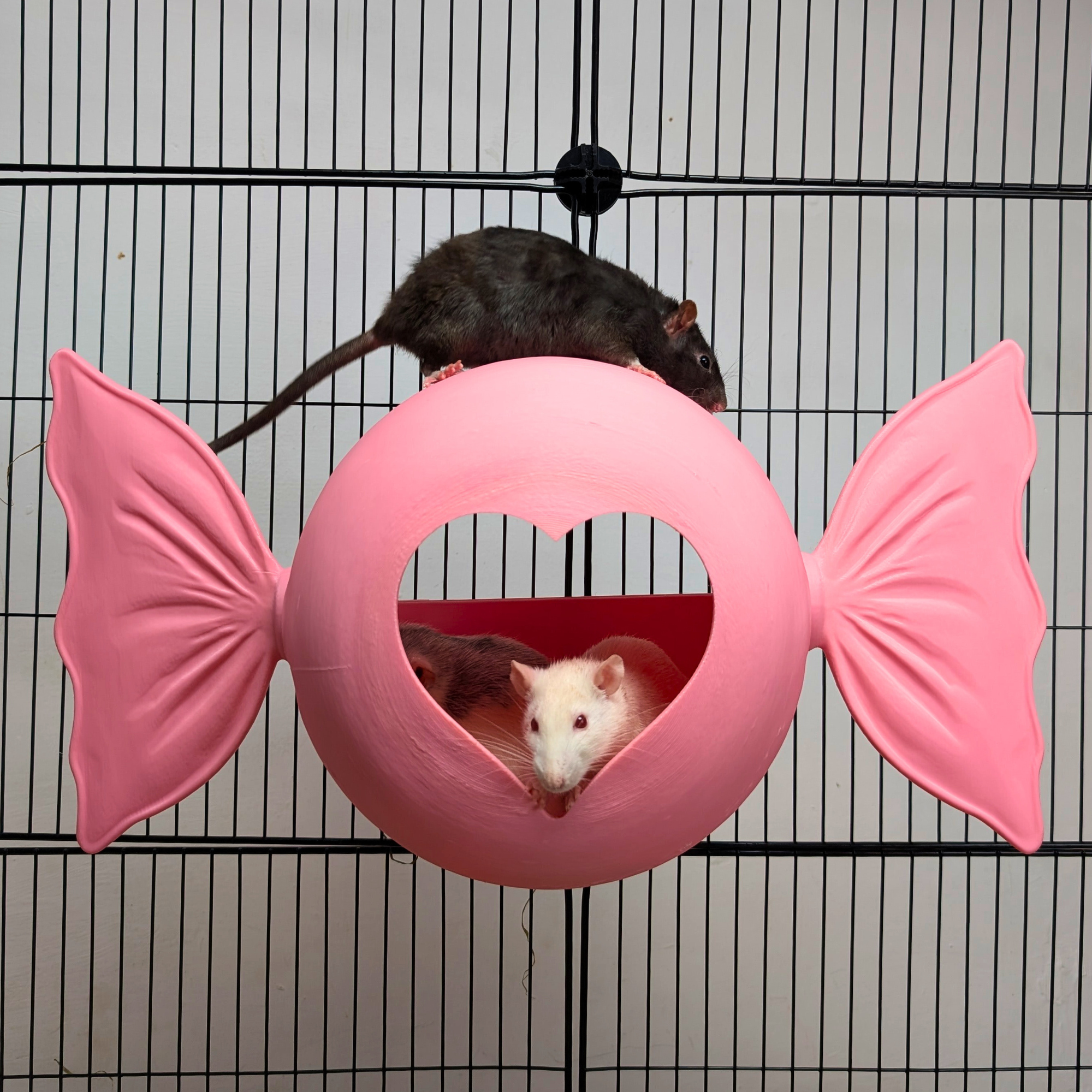 Sweetheart Hideaway | Pink Rat Bed & Heart Rat Hide