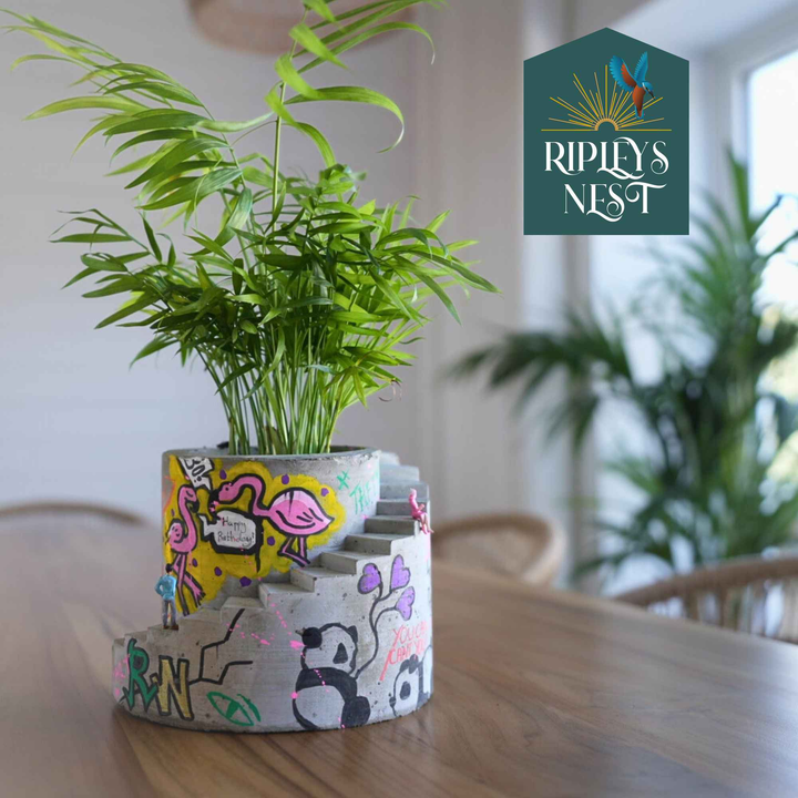 Statement Graffiti Planter - Unique Home Decor for Urban Aesthetics - handmade custom concrete planter | Ripleys Nest