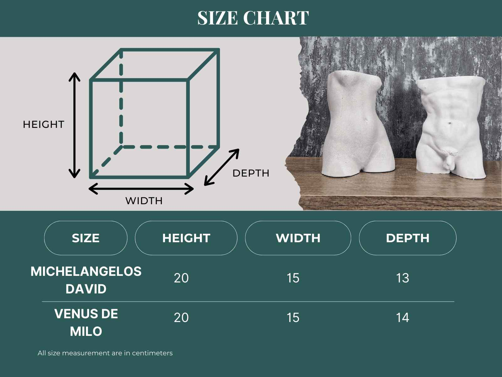 David & Venus Statue Pots