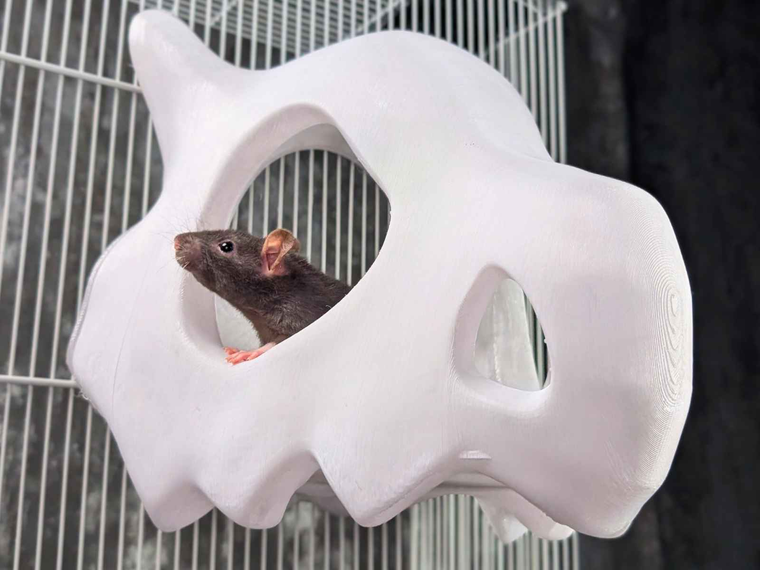 Gothic Skull Rat Hideout & Hanging Nest - handmade cage accessory | Ripleys Nest