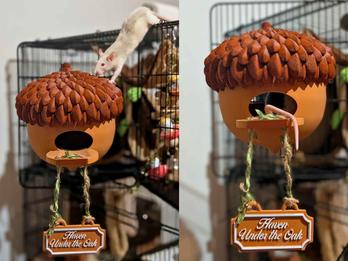 Personalized Acorn Rat Hideaway Lodge additional angle showing colour accuracy