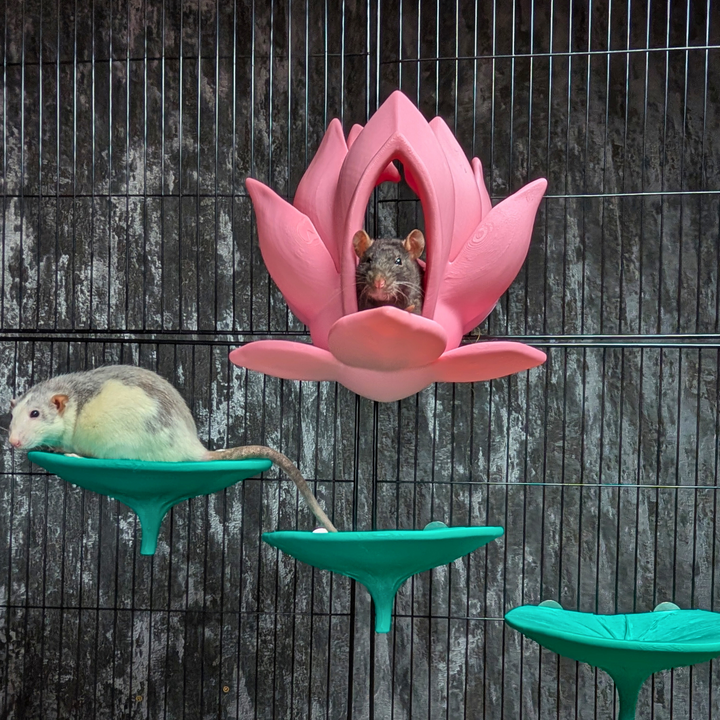Cute Lily Rat Bed & Hide Set - handmade cage accessory | Ripleys Nest