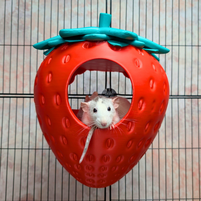 Strawberry Rat Hide | 3D Printed Pet Bed | Ripleys Nest