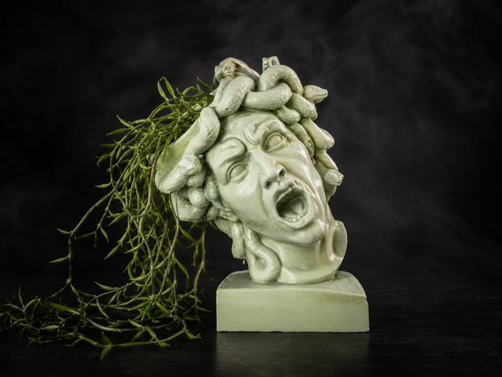 Medusa plant pot with trailing succulent plant on dark studio background