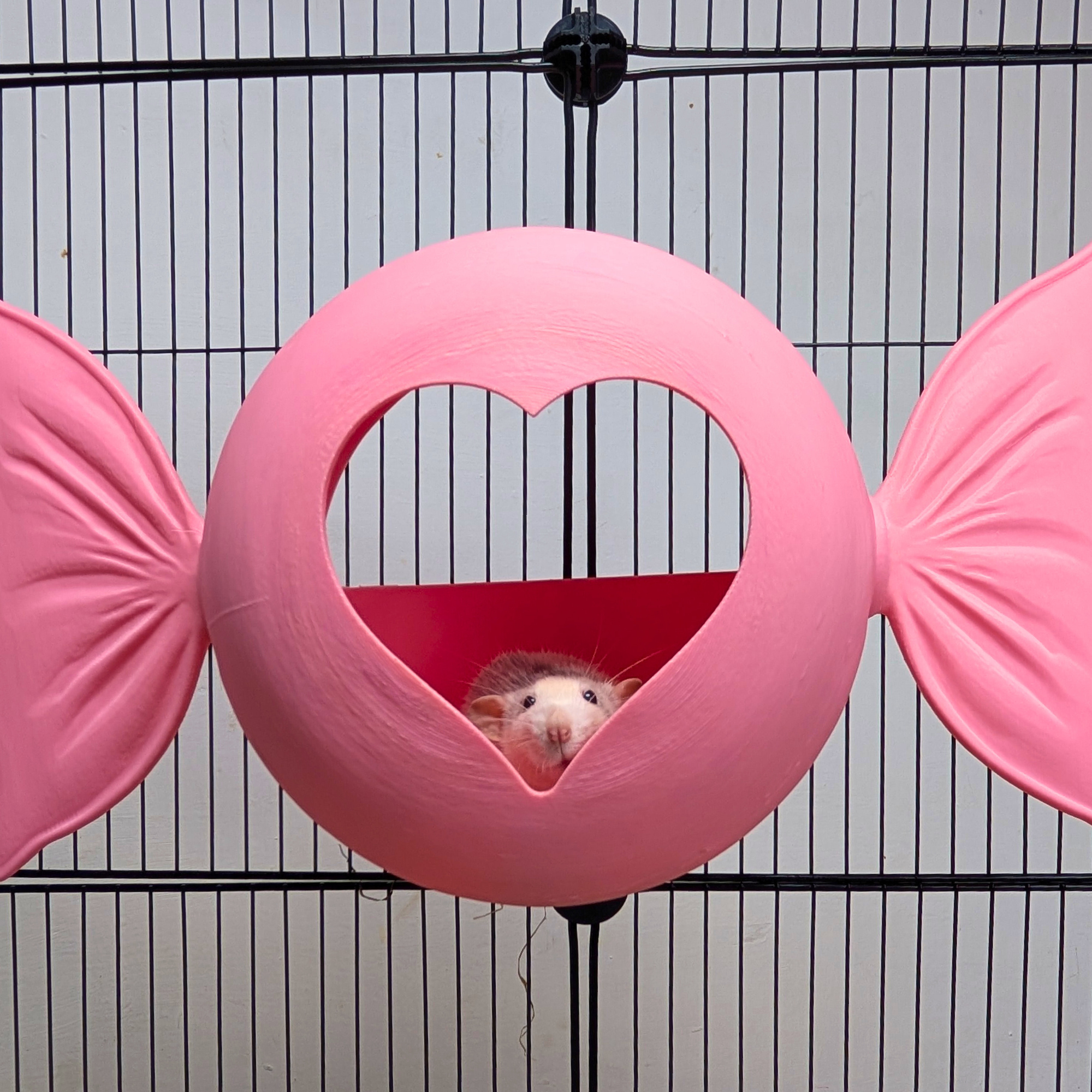 Sweetheart Hideaway | Pink Rat Bed & Heart Rat Hide