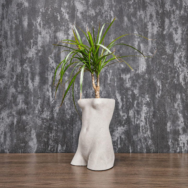 Venus de Milo torso planter filled with a spider plant