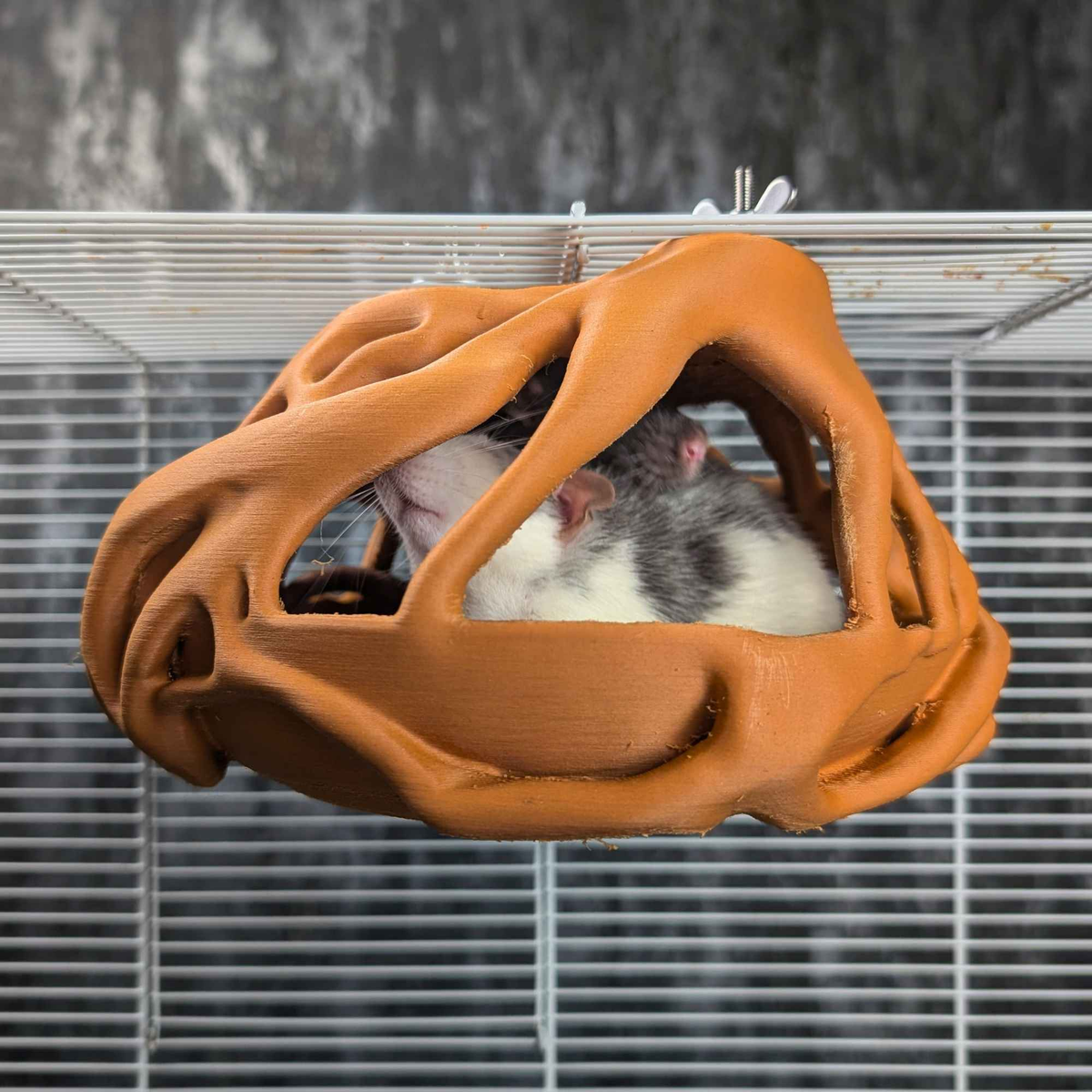 Natural Root Burrow Rat Hideaway styled in home setting