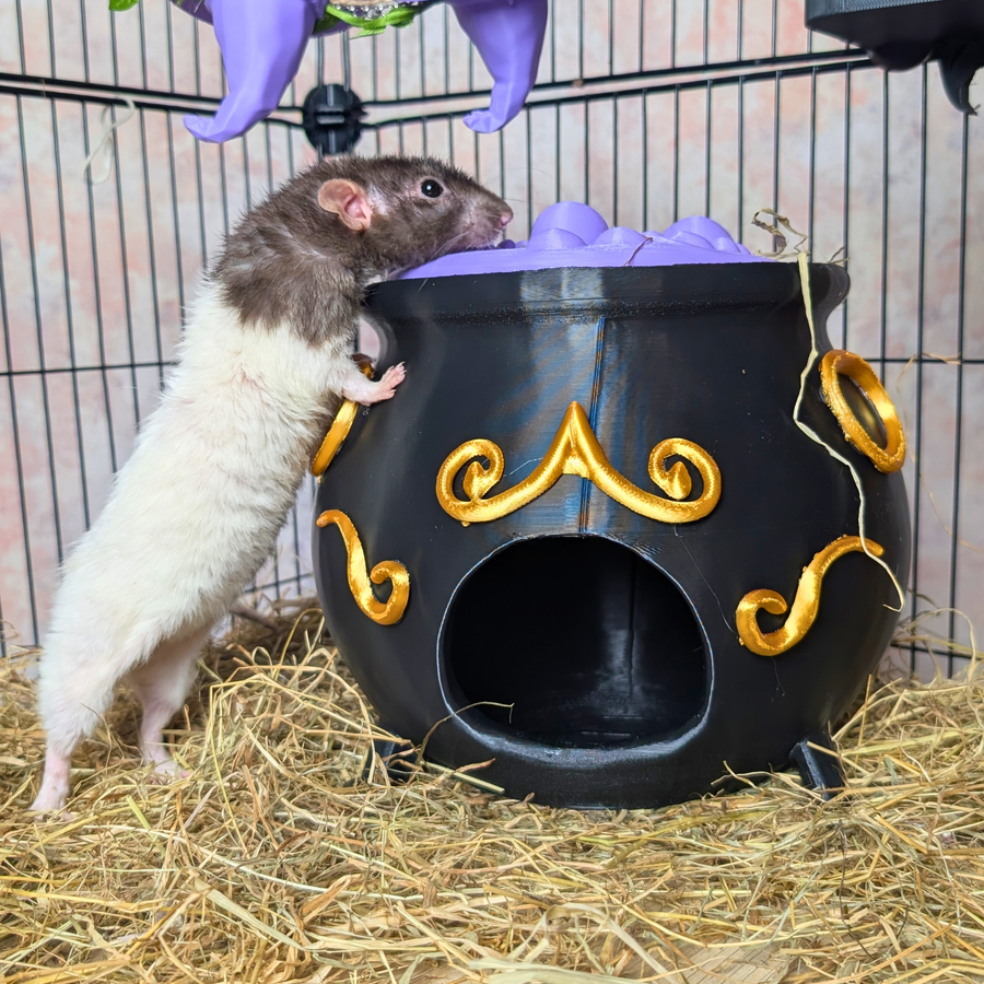 3-Piece Witch Enrichment Set - handcrafted cage accessory | Ripleys Nest