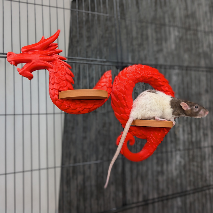 Dragon Rat Shelf Set - handmade cage shelf set | Ripleys Nest