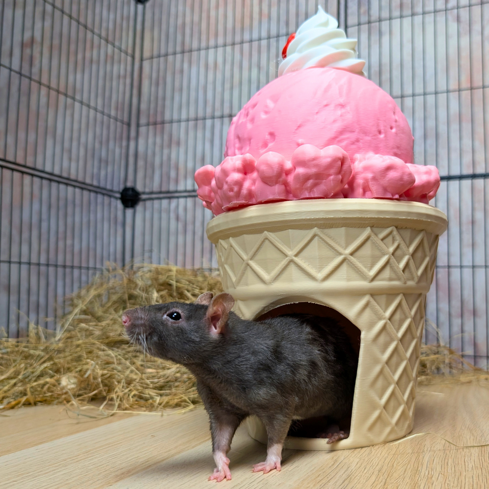 Ice Cream Cone Rat Hide - handmade cage accessory | Ripleys Nest