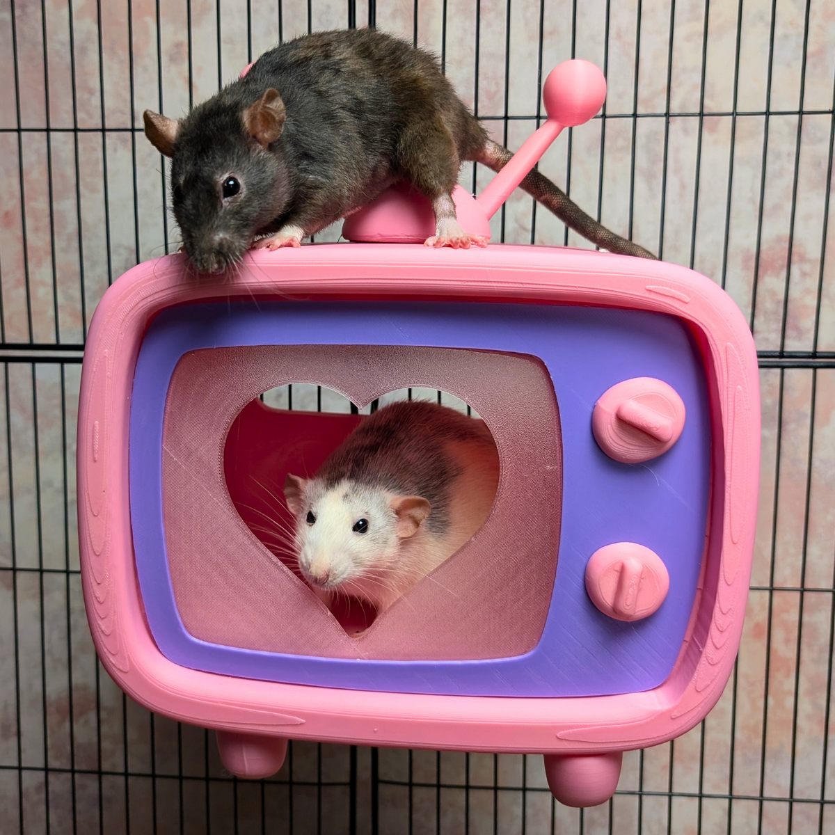 Retro TV Rat Hide - handcrafted cage accessory | Ripleys Nest