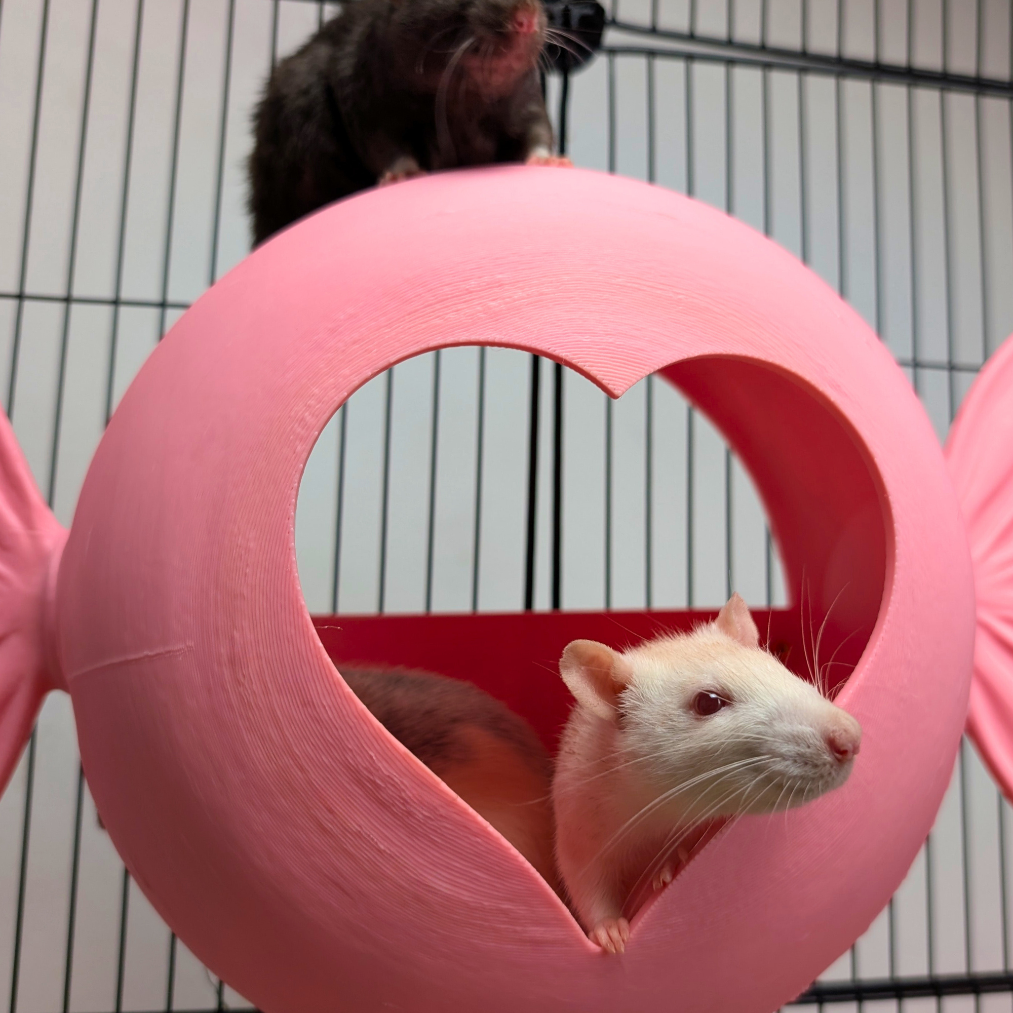 Sweetheart Hideaway | Pink Rat Bed & Heart Rat Hide