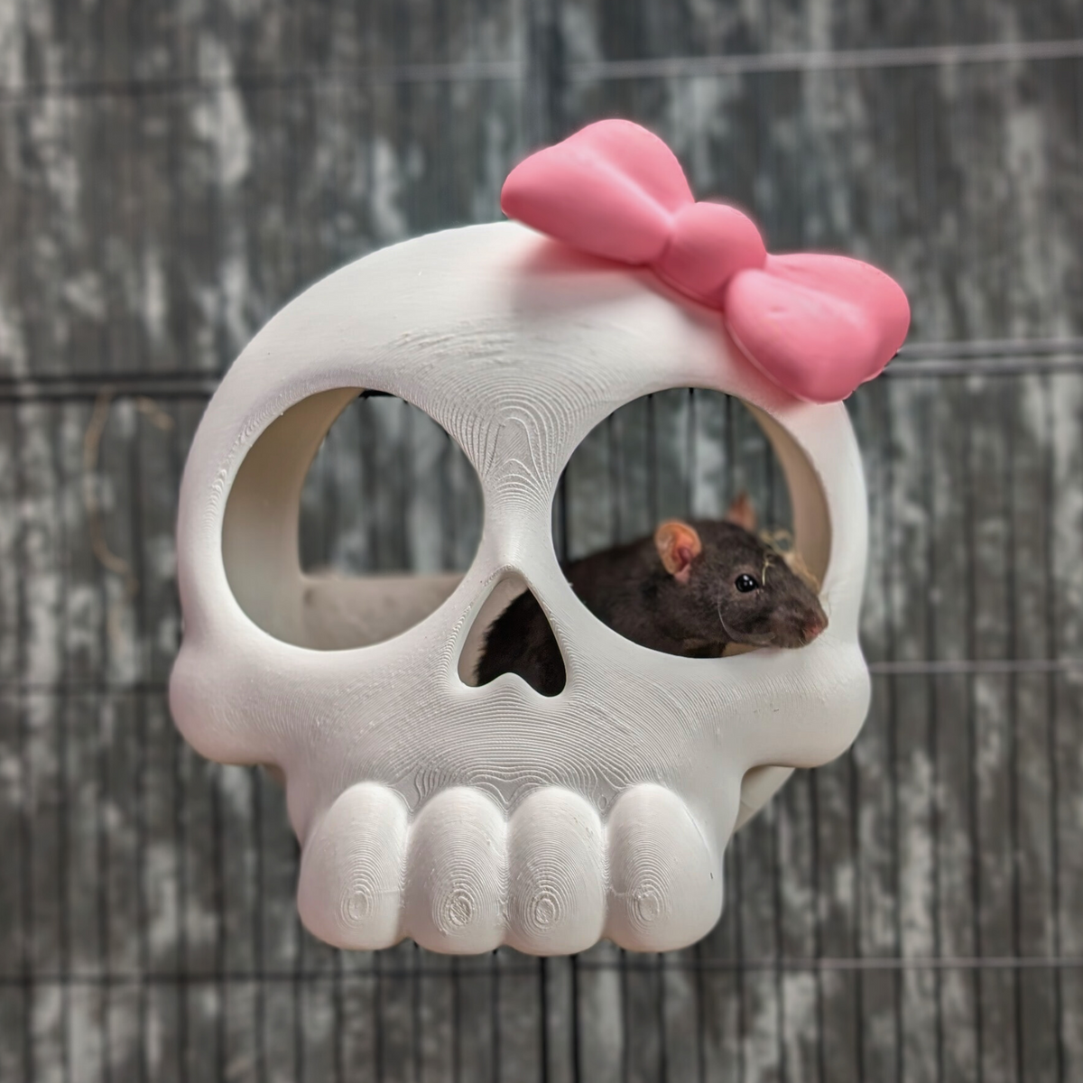 Kawaii Goth Skull Rat Hide - handcrafted cage accessory | Ripleys Nest
