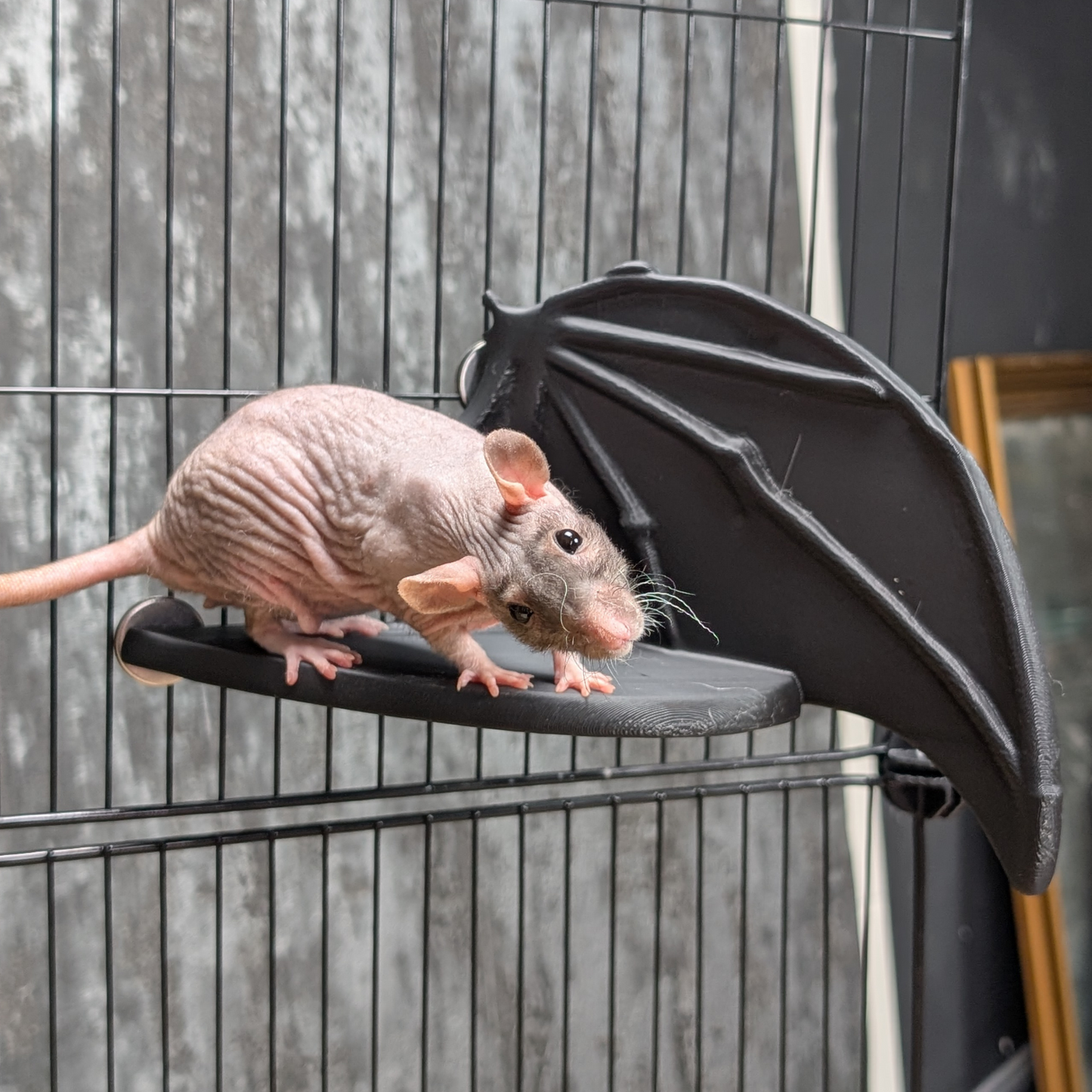 Gothic Bat Wing Rat Cage Shelf Perch