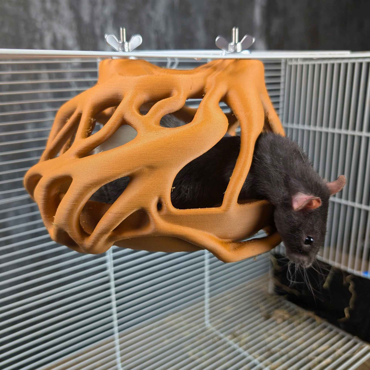 Natural Root Burrow Rat Hideaway product packaging and presentation