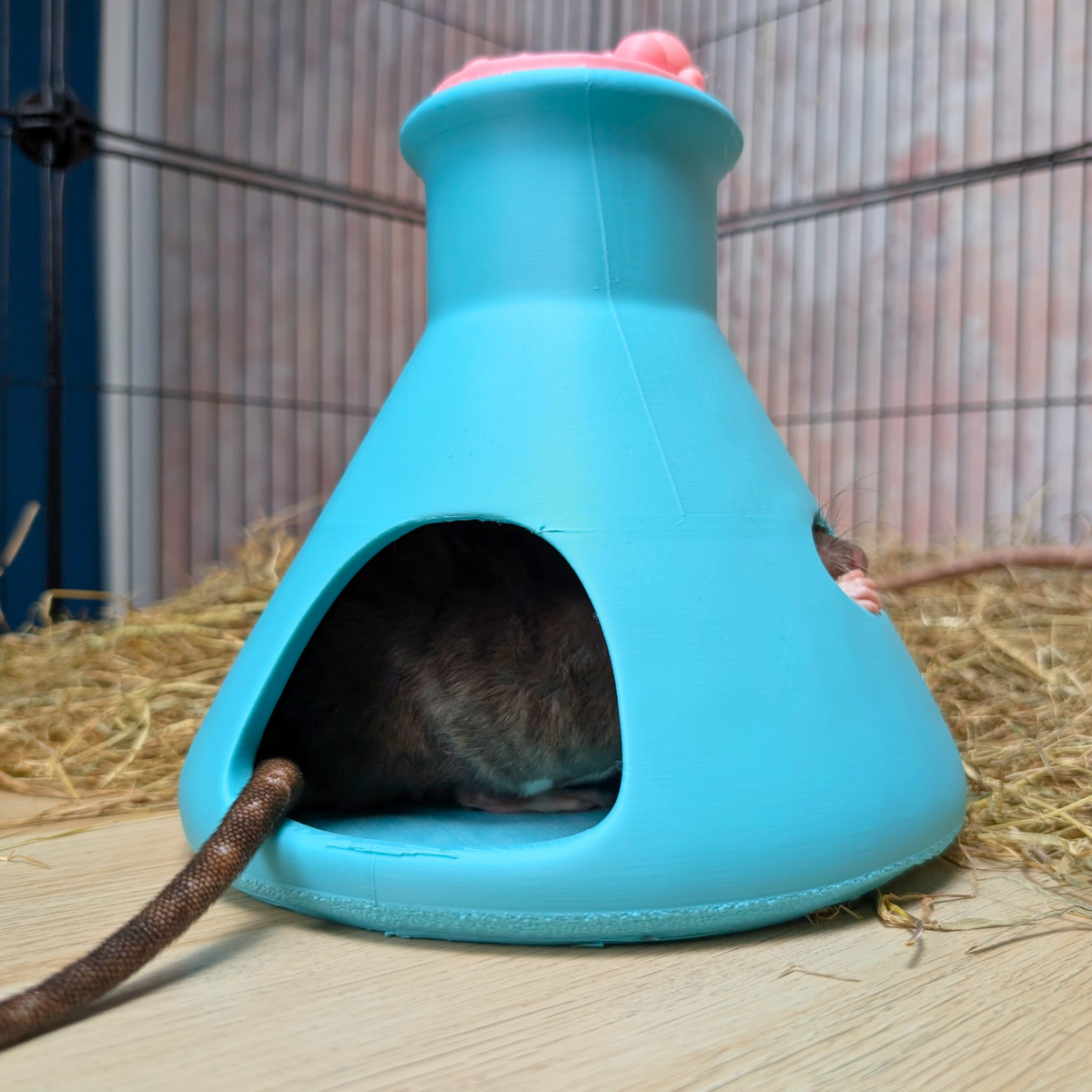 Rat House side profile view