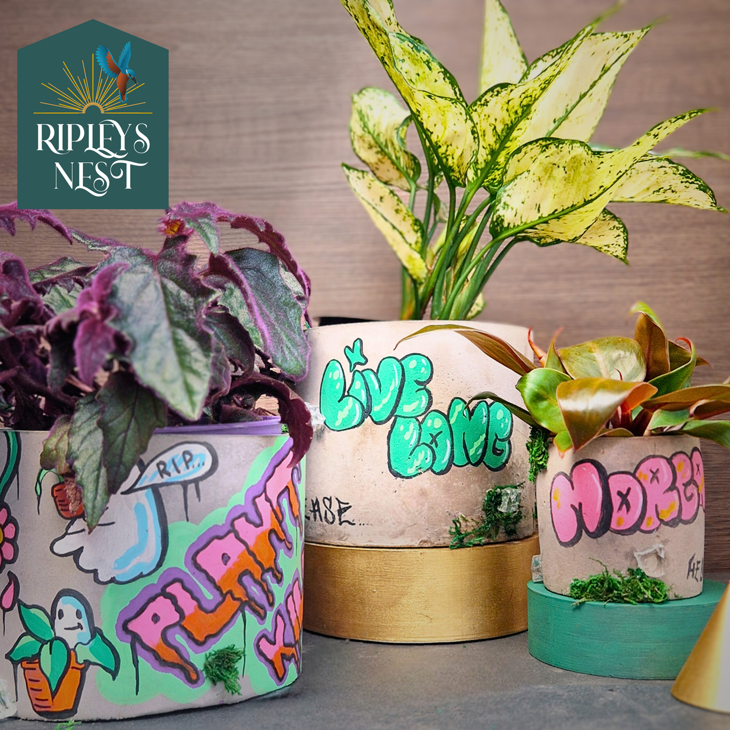 Urban Canvas Planter