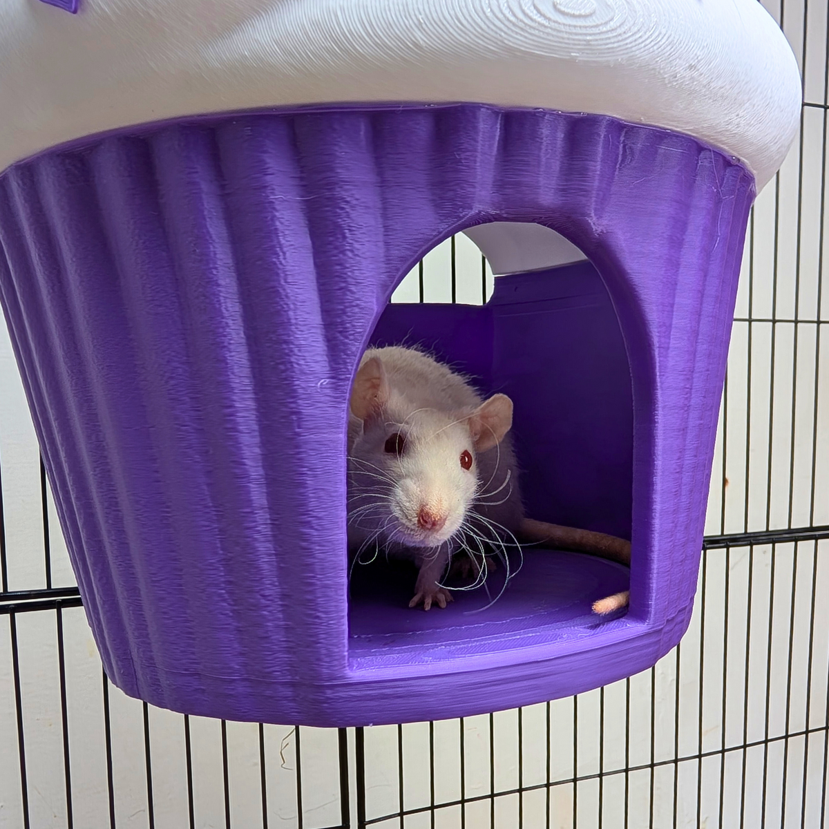 Cupcake Rat Hide & Bed top-down view showing interior