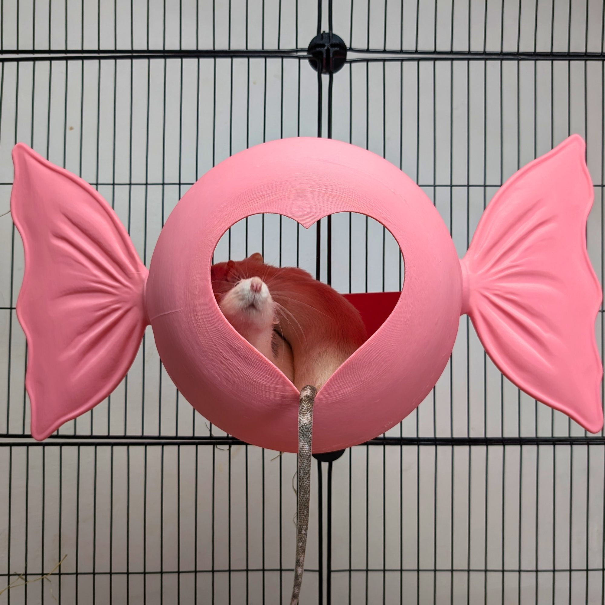 Sweetheart Hideaway | Pink Rat Bed & Heart Rat Hide