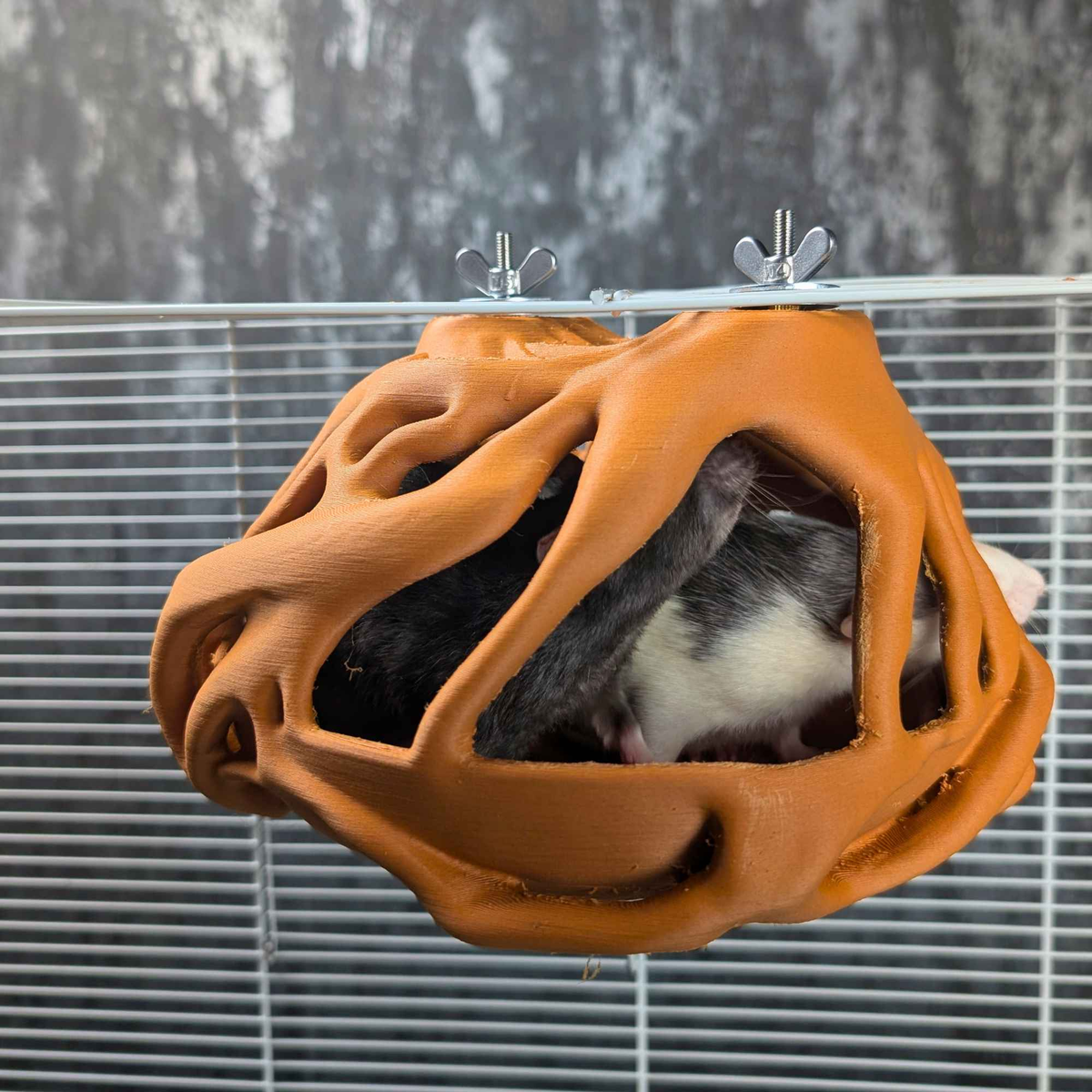 Natural Root Burrow Rat Hideaway displayed alongside complementary pieces