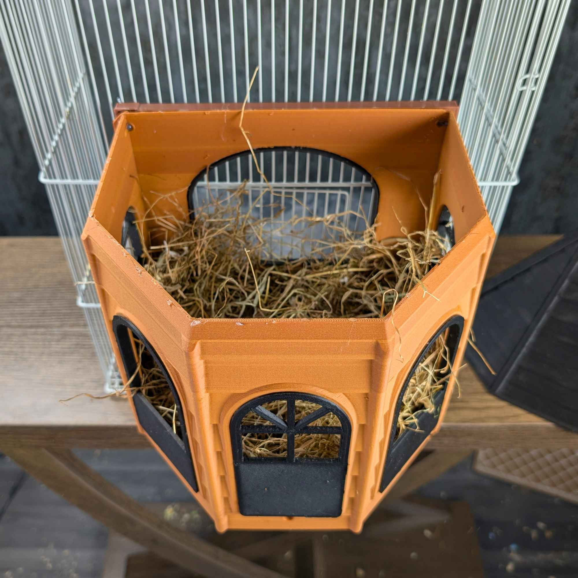 Luxury Rat Mansion Hideaway