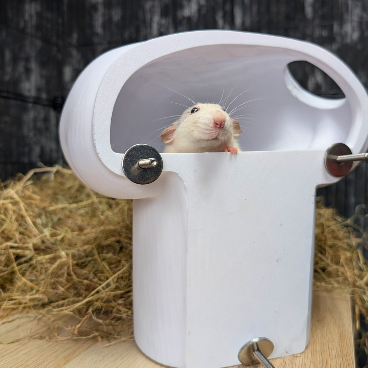 Chef Hat Rat Hide & Bed top-down view showing interior