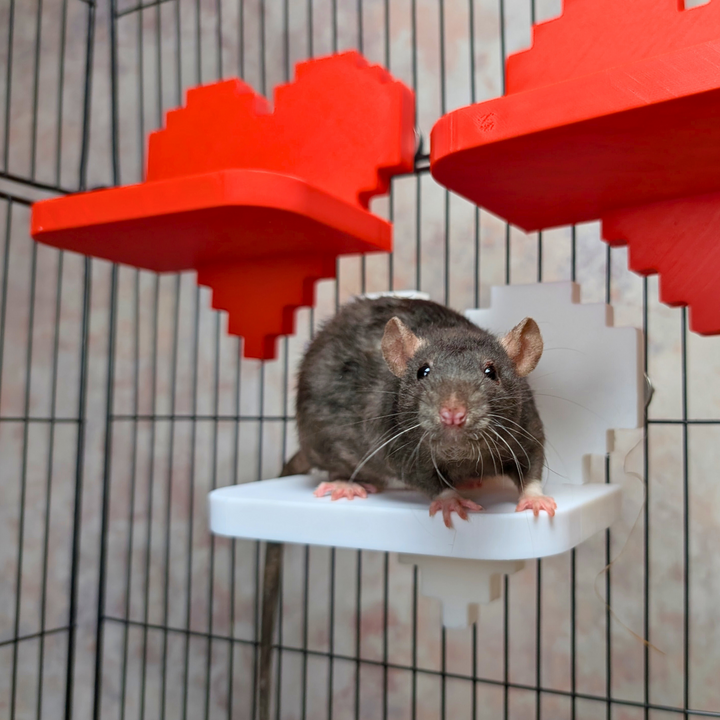 Pixel Heart Rat Cage Shelves - handmade cage shelf set | Ripleys Nest
