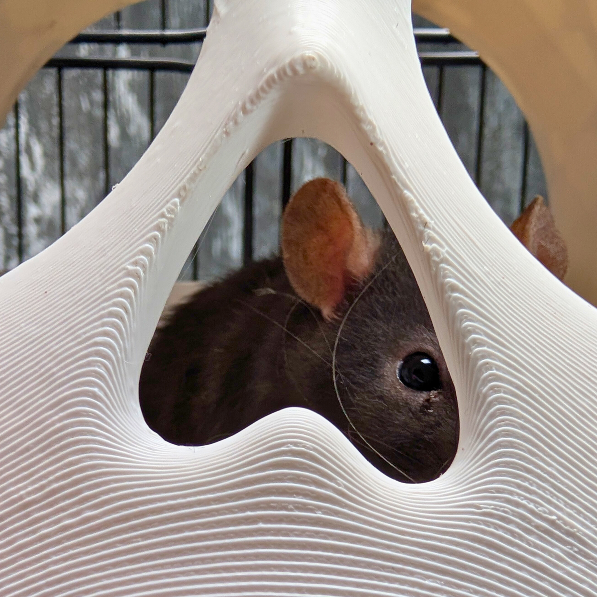 Kawaii Goth Skull Rat Hide top-down view showing interior