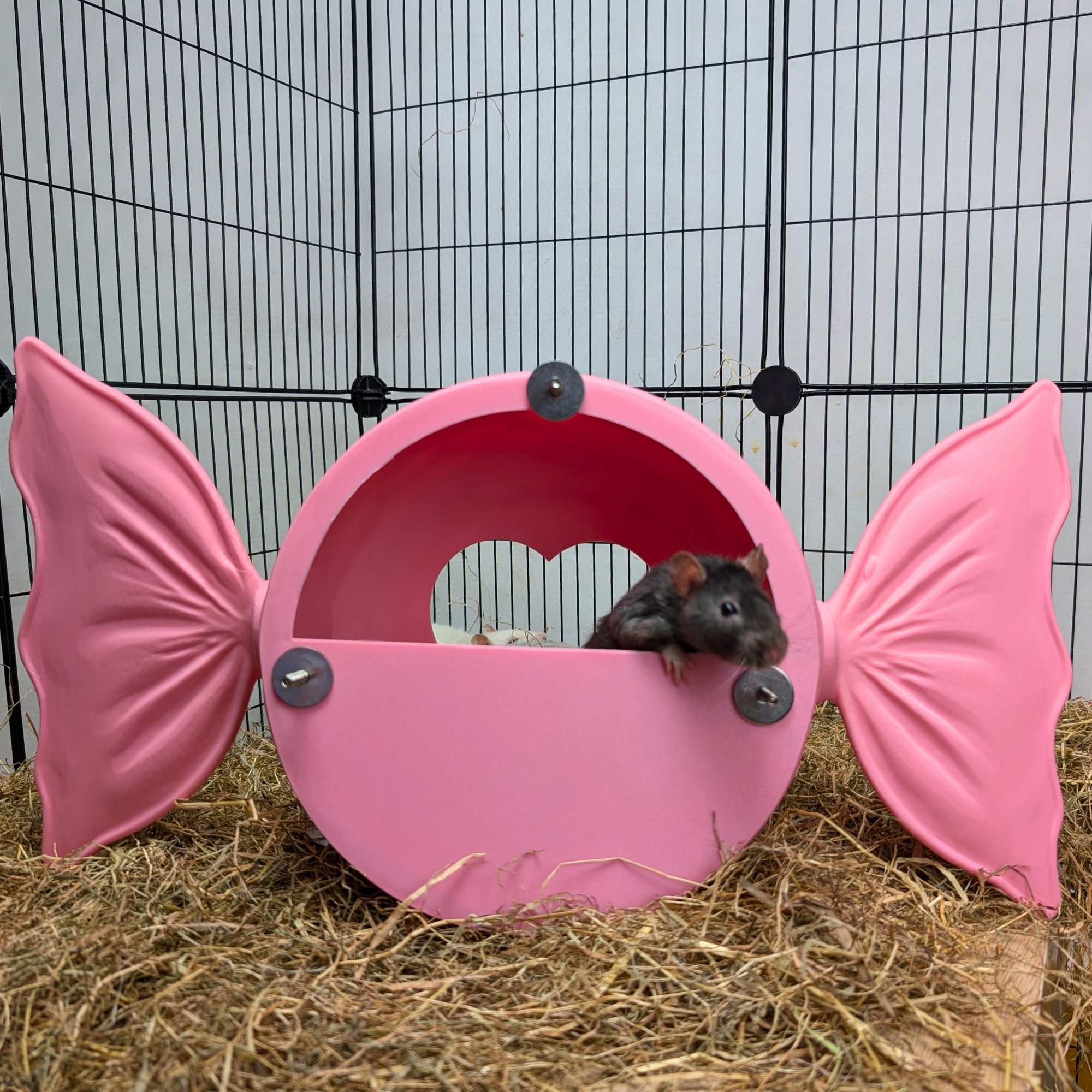 Sweetheart Hideaway | Pink Rat Bed & Heart Rat Hide
