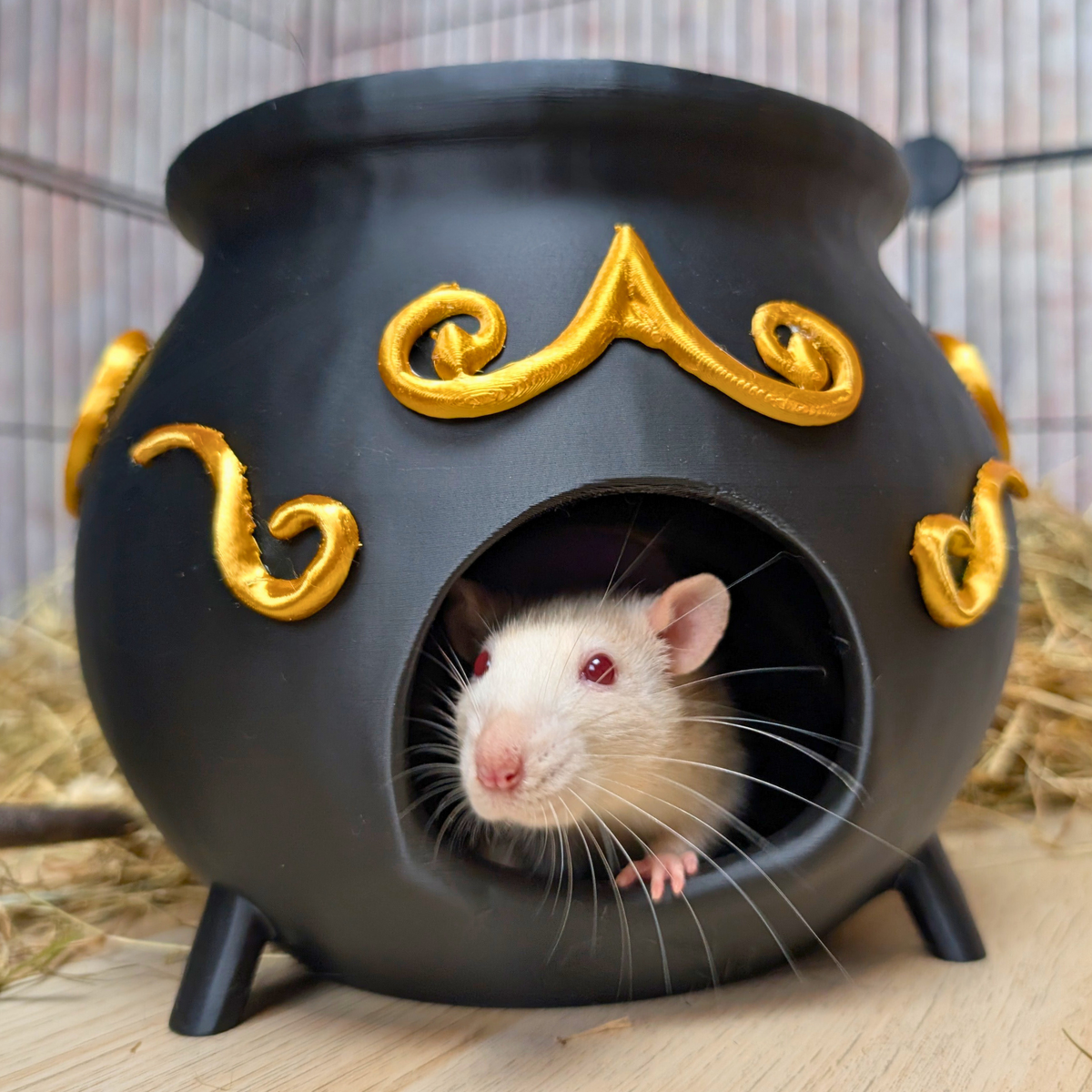 Rat Hide Witch Cauldron product packaging and presentation