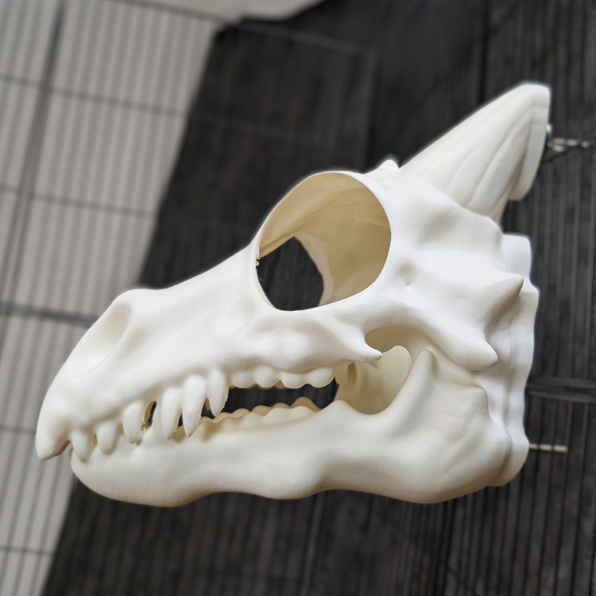 Dragon Skull Rat Hide displayed alongside complementary pieces