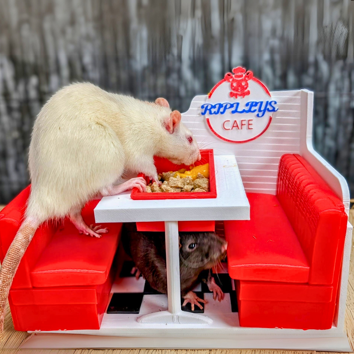 Rat Diner - handmade feeding accessory | Ripleys Nest