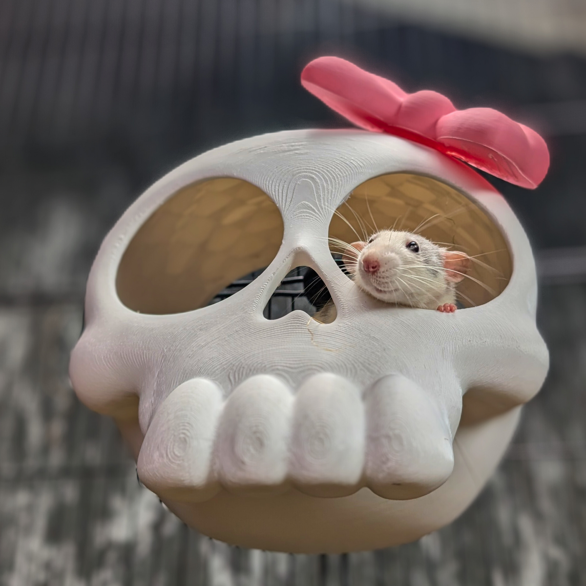 Kawaii Goth Skull Rat Hide front view showing entrance