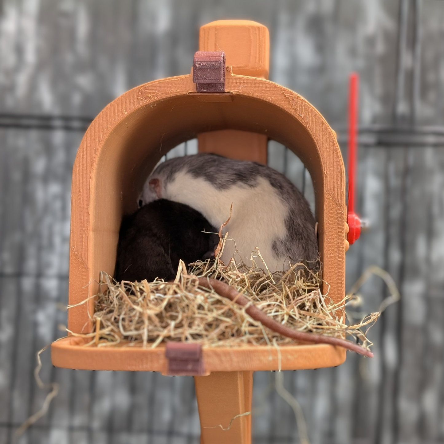 Custom Rat Mailbox Nest & Bed