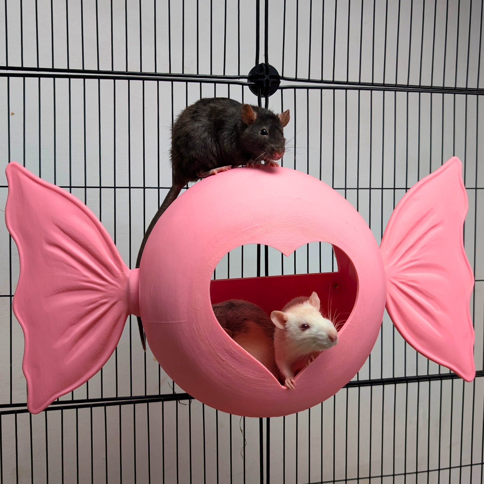 Sweetheart Hideaway | Pink Rat Bed & Heart Rat Hide