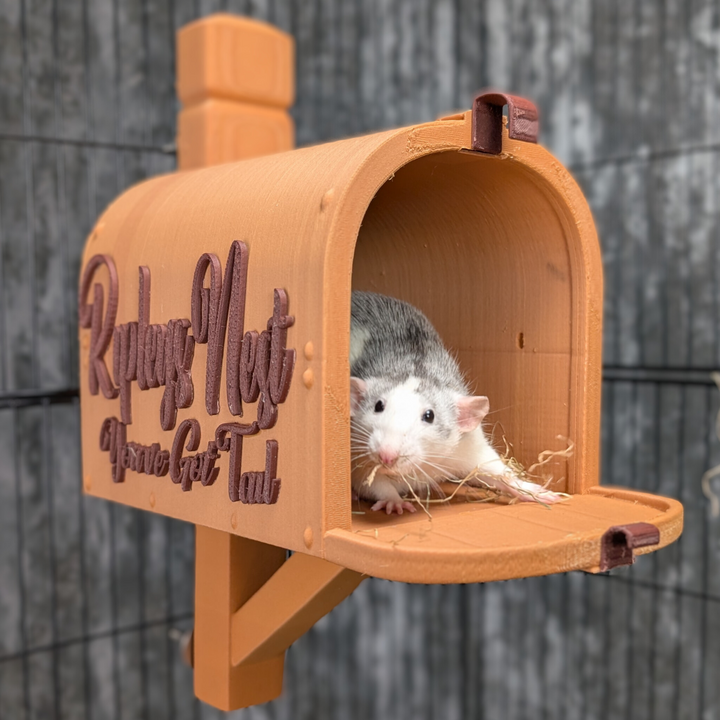 Pet rat inside a personalised orange mailbox nest mounted to cage bars