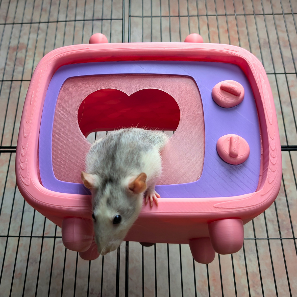 Retro TV Rat Hide lifestyle context shot