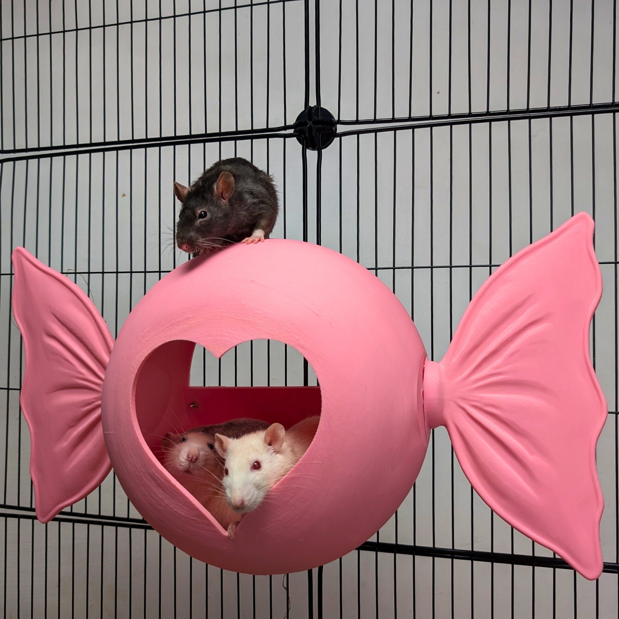 Sweetheart Hideaway | Pink Rat Bed & Heart Rat Hide