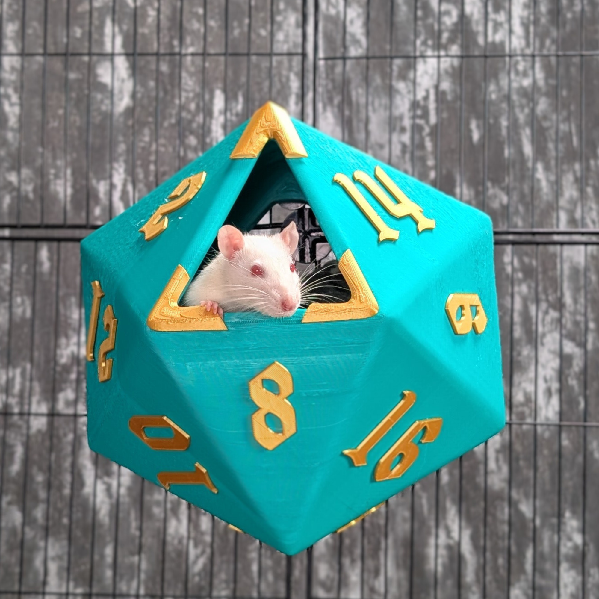 D20 Dice Rat Hide