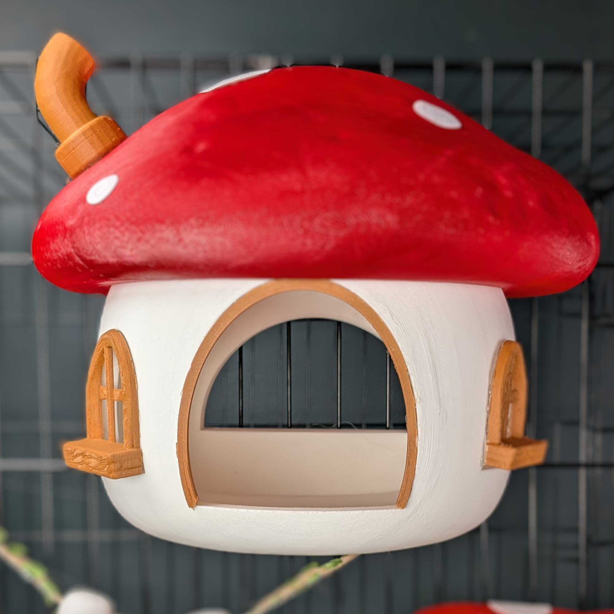 Fairy Mushroom Rat Hide