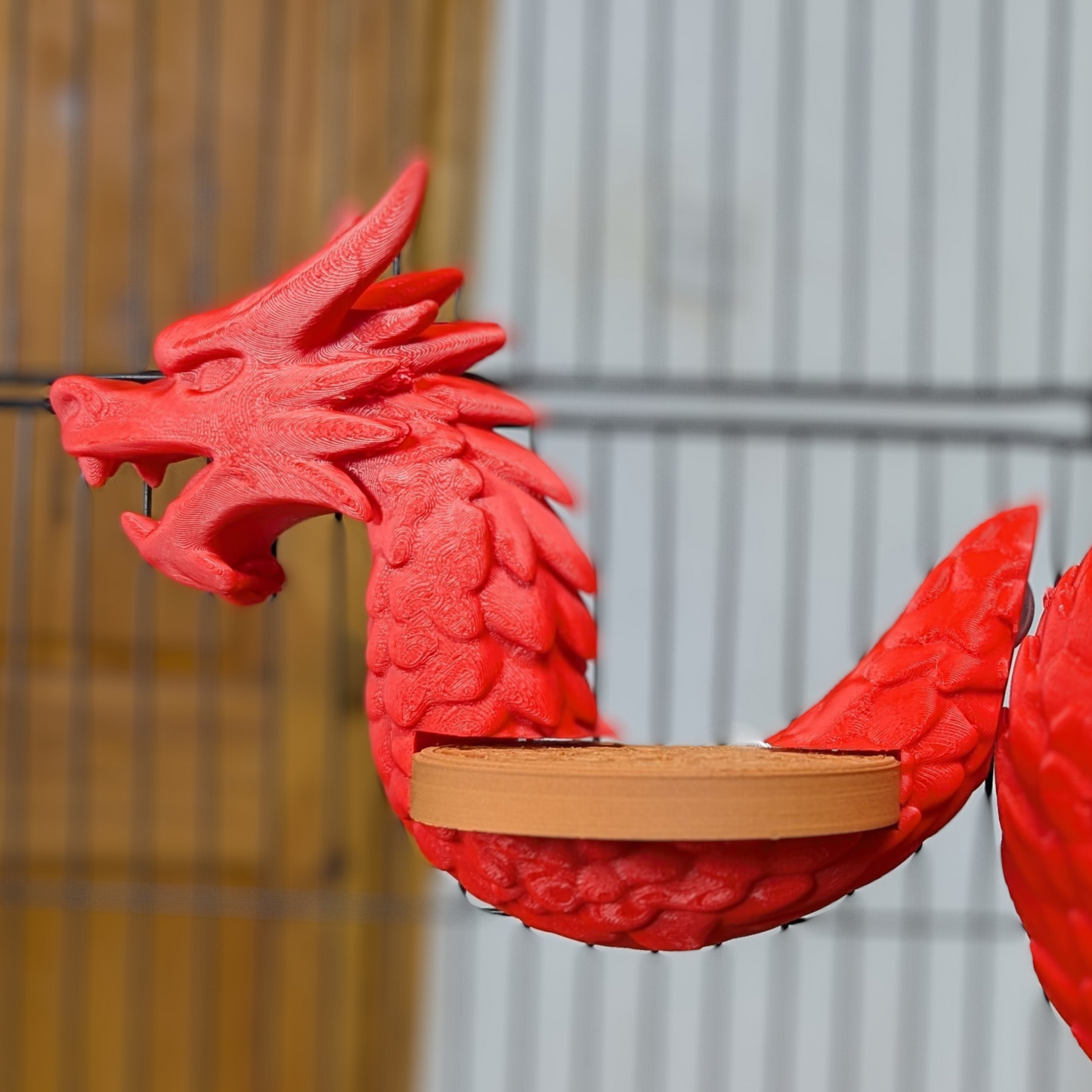 Dragon Rat Shelf Set