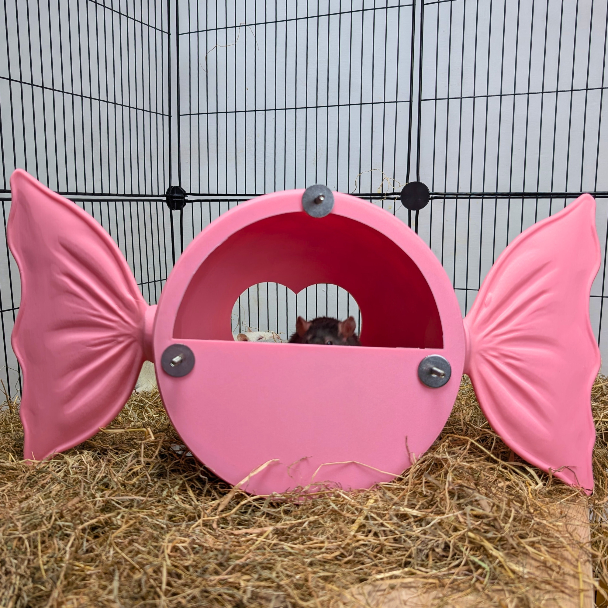 Sweetheart Hideaway | Pink Rat Bed & Heart Rat Hide
