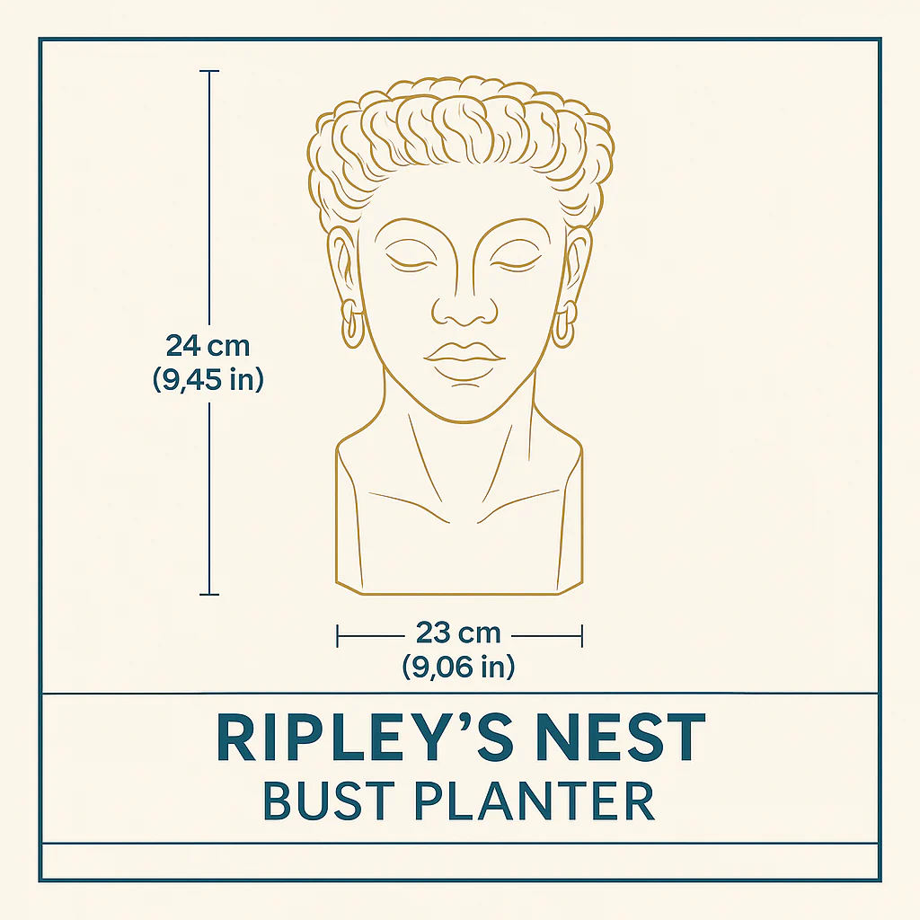 The Florid Chiaroscuro dimensions 24cm height 23cm width